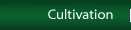 Cultivation